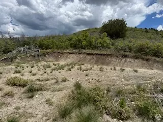 22480 N 13198 E #9, Fairview, UT 84629 photo 5