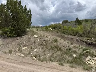 22480 N 13198 E #9, Fairview, UT 84629 photo 8
