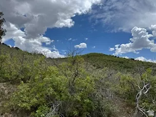 22480 N 13198 E #9, Fairview, UT 84629 photo 6