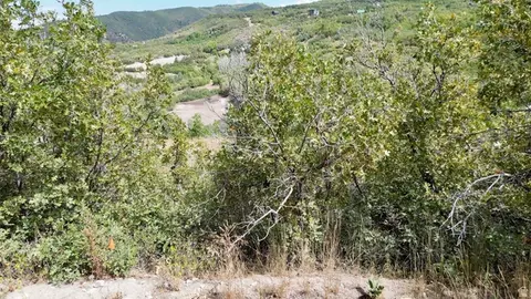 23203 N 14133 E #4, Fairview, UT 84629 photo 10