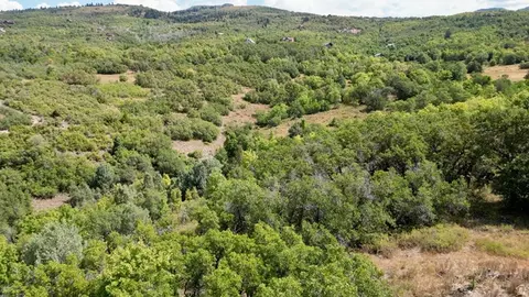 23203 N 14133 E #4, Fairview, UT 84629 photo 9