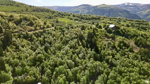 22045 N 14375 E #37, Fairview, UT 84629 photo 12
