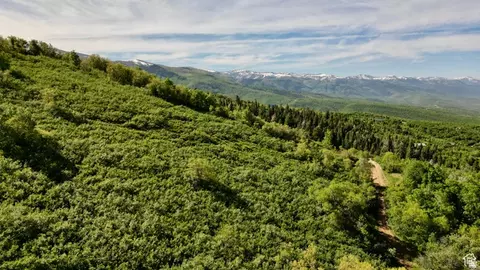23206 N 14136 E #131, Fairview, UT 84629 photo 9
