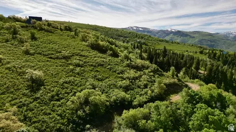 23206 N 14136 E #131, Fairview, UT 84629 photo 10