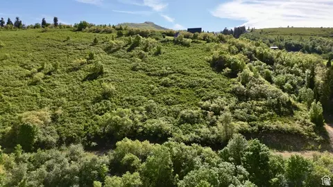 23206 N 14136 E #131, Fairview, UT 84629 photo 11
