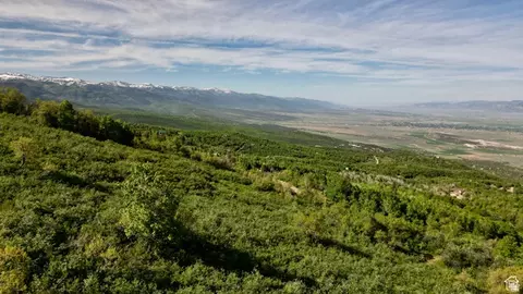 23206 N 14136 E #131, Fairview, UT 84629 photo 8