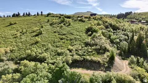 23206 N 14136 E #131, Fairview, UT 84629 photo 2