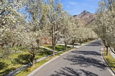 View/Area - 1201 E Preston Dr, Alpine, UT 84004 photo 1 of 11