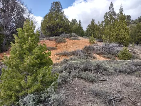 Undisclosed, Alton, UT 84710 photo 4