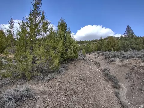 Undisclosed, Alton, UT 84710 photo 6