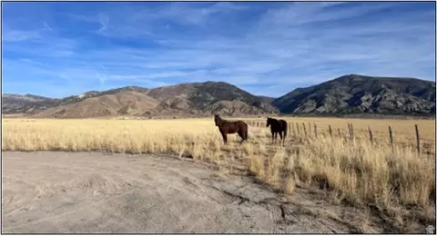 Undisclosed, Levan, UT 84639 photo 3