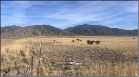 Undisclosed, Levan, UT 84639 photo 2