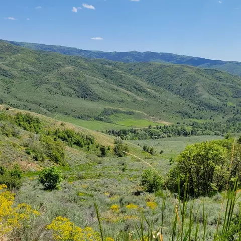 12737 E High Pine Cir N #54, Huntsville, UT 84317