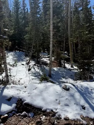 Undisclosed, Brian Head, UT 84719 photo 8