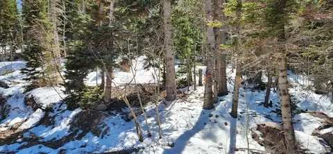 Undisclosed, Brian Head, UT 84719 photo 4