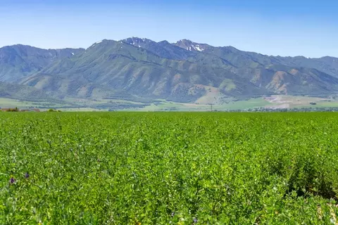 2650 W 6400 S #3, Wellsville, UT 84339