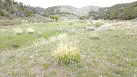 N Clear Springs Rd., Park Valley, UT 84329