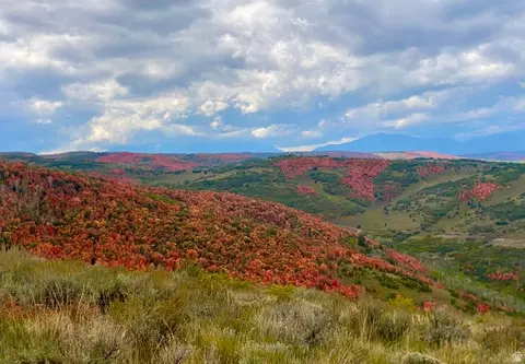 Undisclosed, Woodland, UT 84036