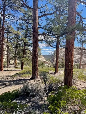 1841 E Upper Happy Valley Loop #2, Teasdale, UT 84773 photo 15