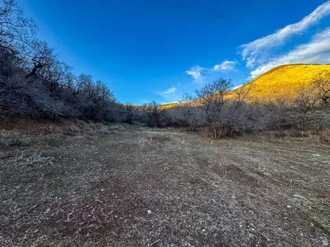 123 Spring Holw, Morgan, UT 84050 photo 5