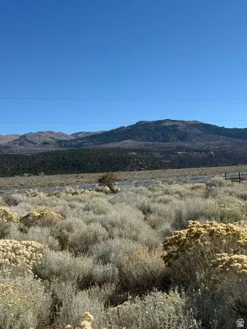 Undisclosed, Mount Pleasant, UT 84647