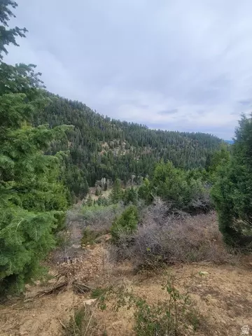 71 W Sky Hvn, Duck Creek Village, UT 84762