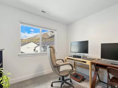 Other - 641 W Desert Willow Dr, Mapleton, UT 84664 photo 5 of 13