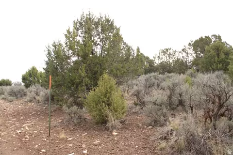 Undisclosed, Fairview, UT 84629 photo 8