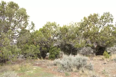 Undisclosed, Fairview, UT 84629 photo 2