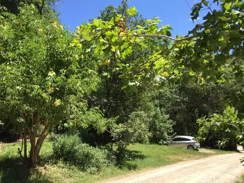 6387 E Lefthand Fork Ln N #68, Emigration Canyon, UT 84108 photo 27