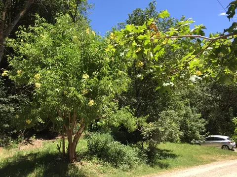 6387 E Lefthand Fork Ln N #68, Emigration Canyon, UT 84108 photo 26
