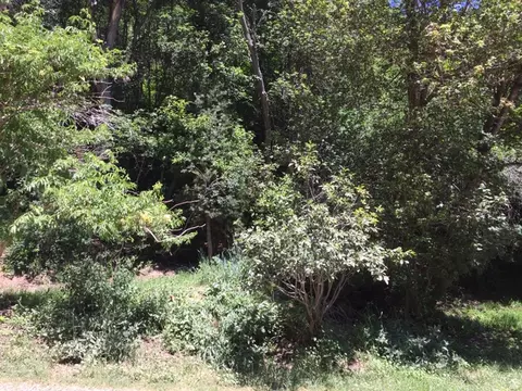 6387 E Lefthand Fork Ln N #68, Emigration Canyon, UT 84108 photo 20