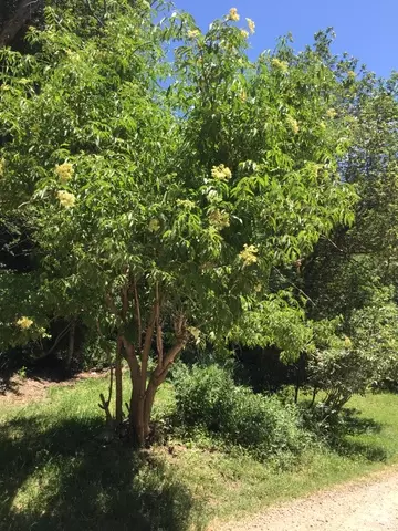 6387 E Lefthand Fork Ln N #68, Emigration Canyon, UT 84108 photo 17