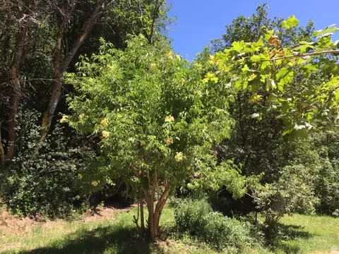 6387 E Lefthand Fork Ln N #68, Emigration Canyon, UT 84108 photo 25