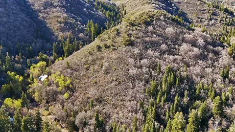 6387 E Lefthand Fork Ln N #68, Emigration Canyon, UT 84108 photo 8