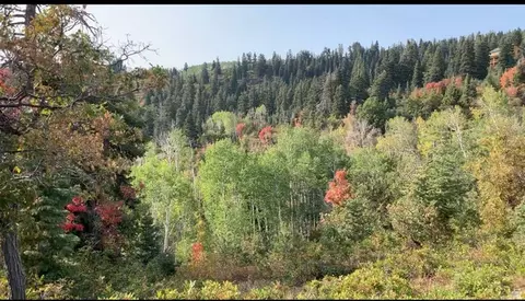 28 E Deer Valley Dr S #K28, Fairview, UT 84629 photo 7