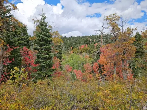 29 E Deer Valley Dr S #K29, Fairview, UT 84629 photo 3