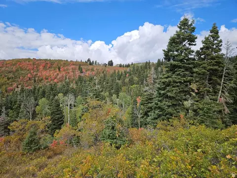 29 E Deer Valley Dr S #K29, Fairview, UT 84629 photo 6