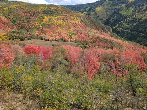 29 E Deer Valley Dr S #K29, Fairview, UT 84629 photo 4