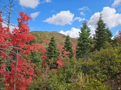 29 E Deer Valley Dr S #K29, Fairview, UT 84629 photo 8