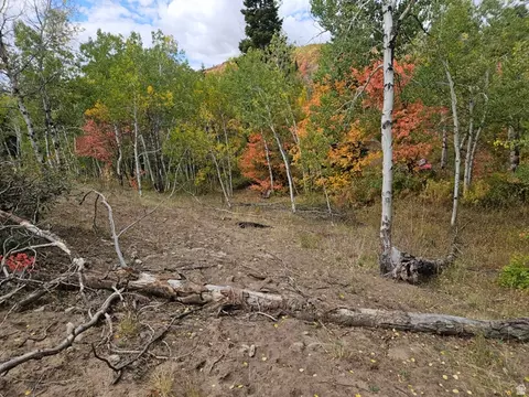 30 E Deer Valley Dr S #K30, Fairview, UT 84629