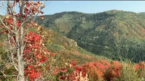 30 E Deer Valley Dr S #K30, Fairview, UT 84629 photo 10