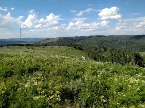 14 E See Directions #14 E, Fairview, UT 84629