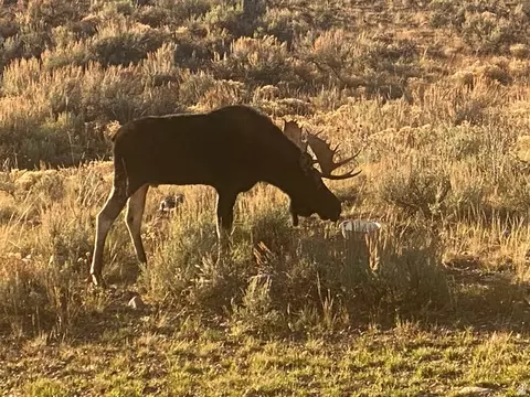 Undisclosed, Kamas, UT 84036 photo 5