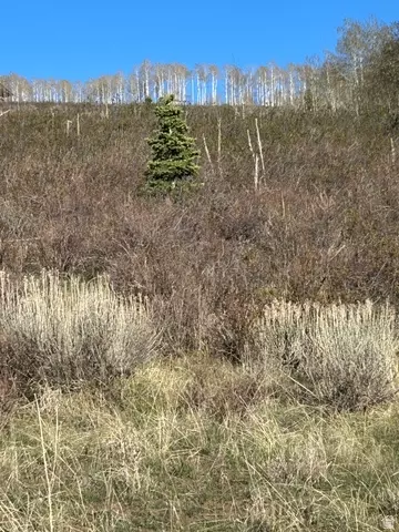 Undisclosed, Fairview, UT 84629