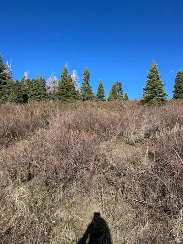 Undisclosed, Fairview, UT 84629 photo 5