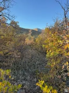10 E Spring Mountain Dr #10, Springville, UT 84663 photo 6