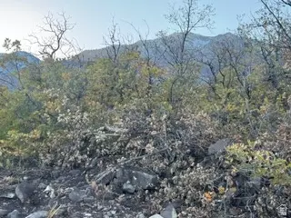 10 E Spring Mountain Dr #10, Springville, UT 84663 photo 26