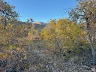 10 E Spring Mountain Dr #10, Springville, UT 84663 photo 8