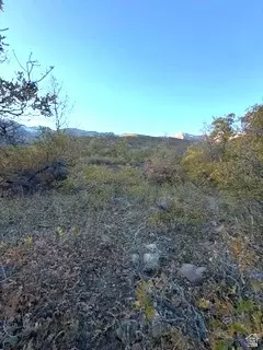 10 E Spring Mountain Dr #10, Springville, UT 84663 photo 10
